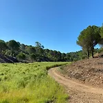 Large Lakeside Near Silves - Figs On The Funcho * Pedreiras (Algarve)
