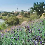 ゲストハウス Large Lakeside Near Silves - Figs On The Funcho Pedreiras (Algarve)
