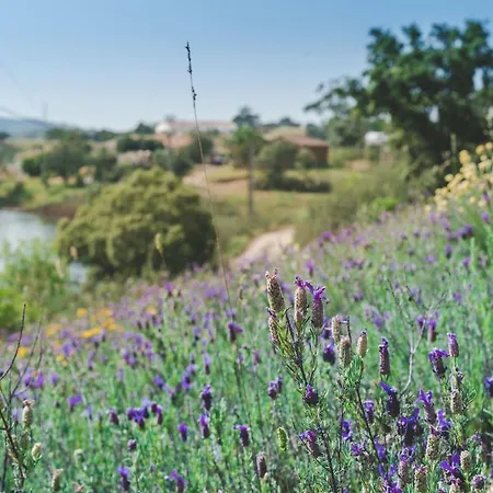 ゲストハウス Large Lakeside Near Silves - Figs On The Funcho Pedreiras (Algarve)