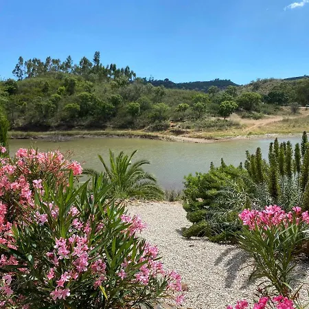 Large Lakeside Near Silves - Figs On The Funcho *