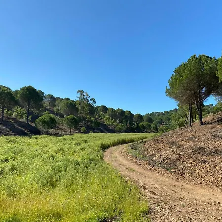 Large Lakeside Near Silves - Figs On The Funcho * Pedreiras (Algarve)