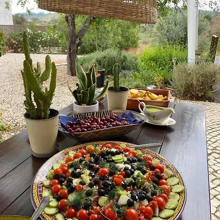 Large Lakeside Near Silves - Figs On The Funcho بيت ضيافة