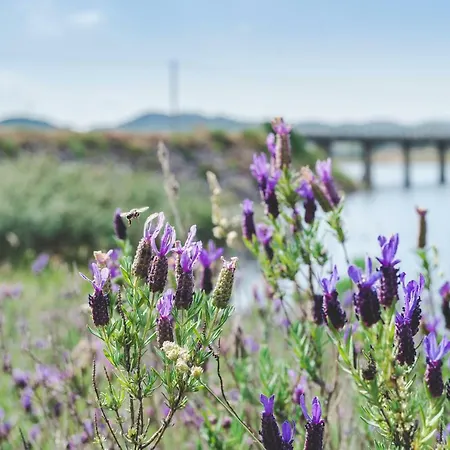 بيت ضيافة Large Lakeside Near Silves - Figs On The Funcho Pedreiras (Algarve)
