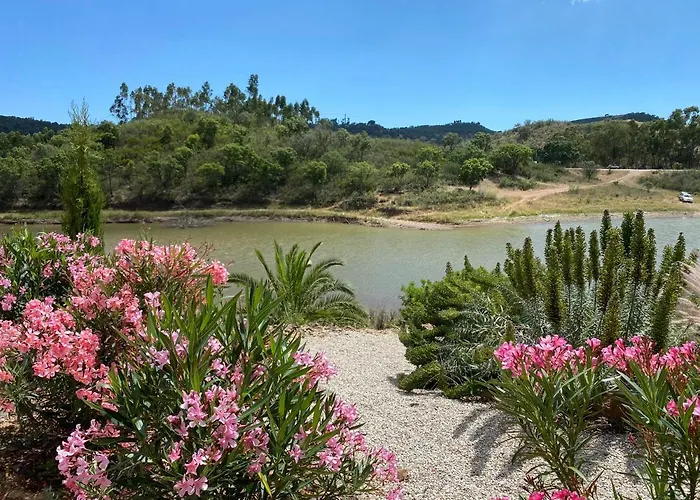 Large Lakeside Near Silves - Figs On The Funcho *