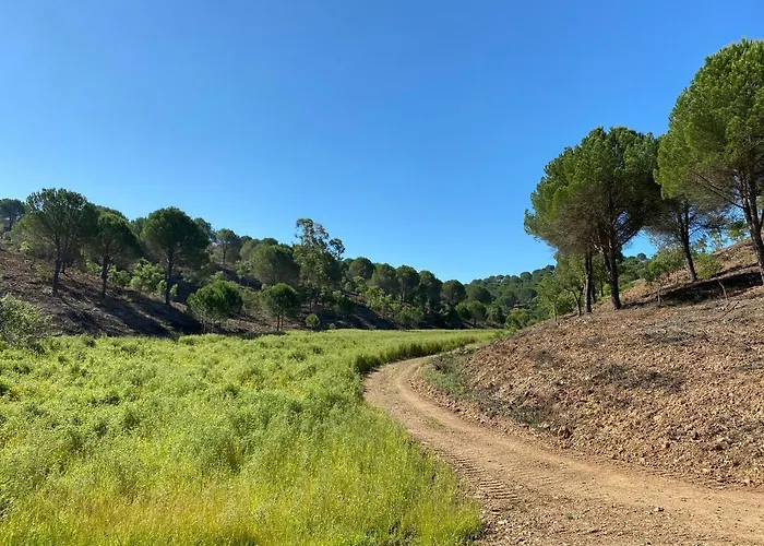 Large Lakeside Near Silves - Figs On The Funcho * Pedreiras (Algarve)