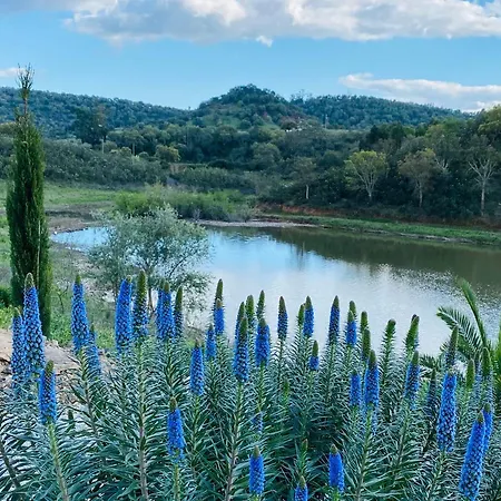 게스트하우스 Large Lakeside Near Silves - Figs On The Funcho Pedreiras (Algarve)